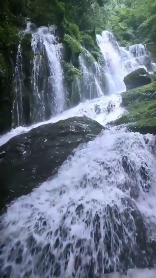 细胞分裂6